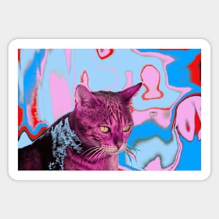 Cat / Swiss Artwork Photography Sticker